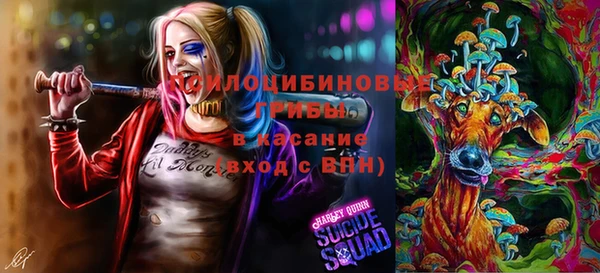 бутират Алзамай